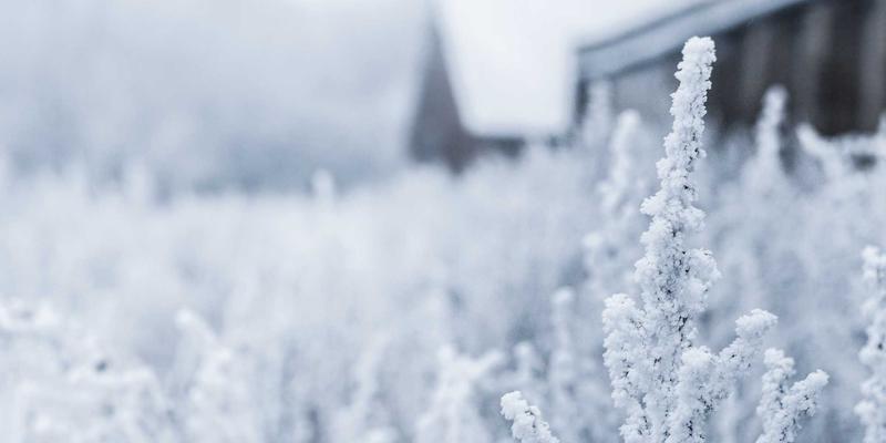 HKYSK策略：优化供应链与国际社交媒体营销，打造跨境电商全球品牌