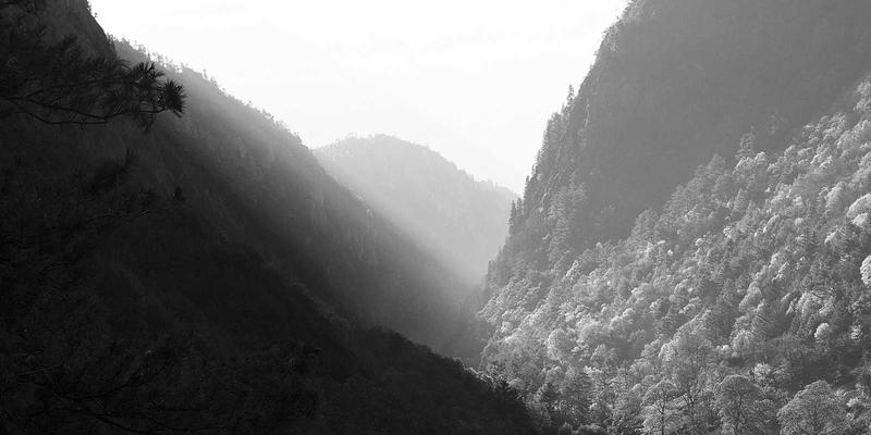 供应链升级利器：如何用PIM系统驾驭多市场、多语言的跨境电商