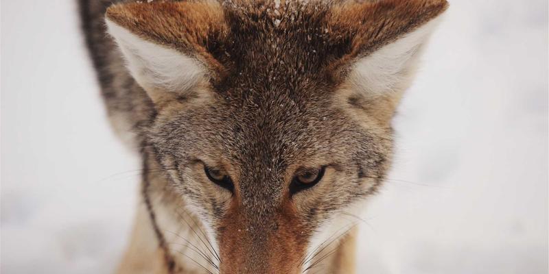 全球物流与供应链：驱动跨境电商增长的隐形引擎