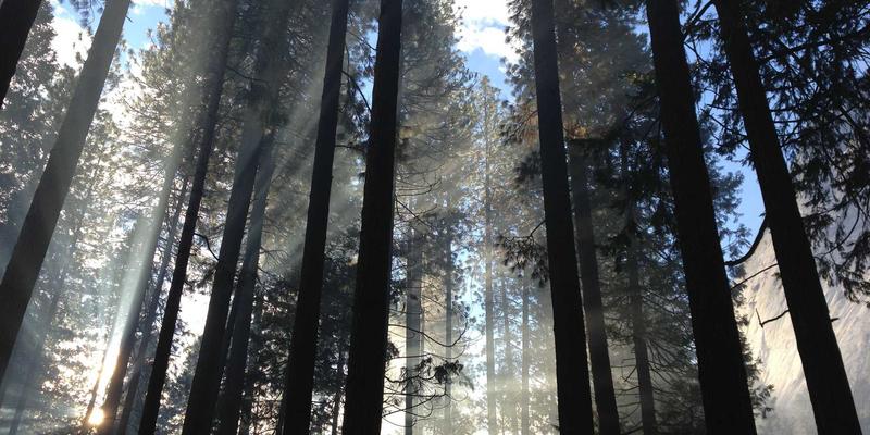 解锁MENA蓝海：中东与北非跨境电商市场准入策略与本地化运营实战指南