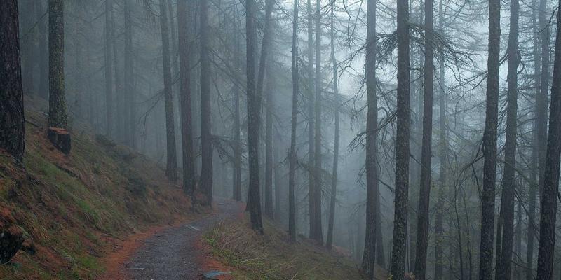 解锁非洲跨境电商新蓝海：支付网关整合与移动货币如何重塑全球物流与供应链