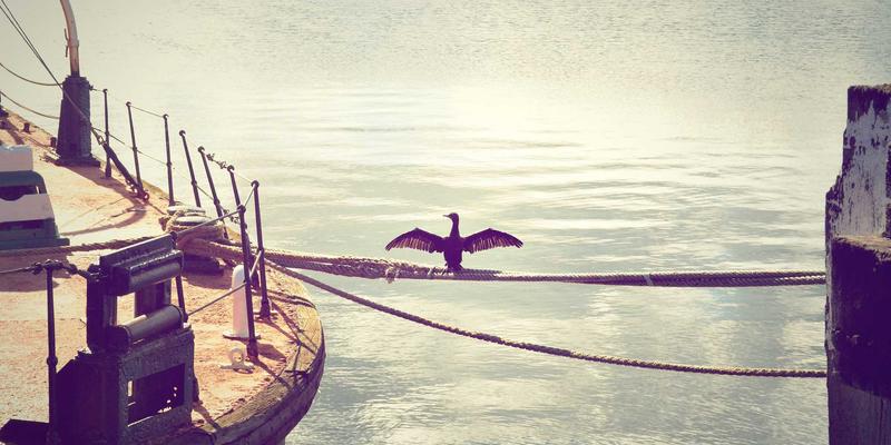 跨境物流新范式：HKYSK如何通过全球供应链优化重塑跨境电商体验