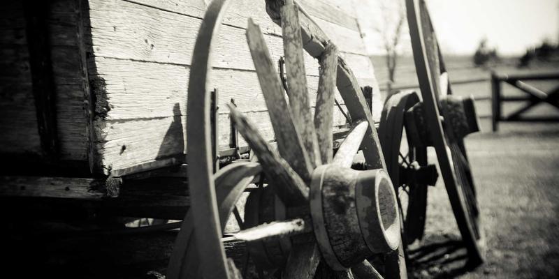 跨境电商内容营销实战：如何通过TikTok与网红营销结合跨境贸易服务与全球物流打造全球品牌影响力