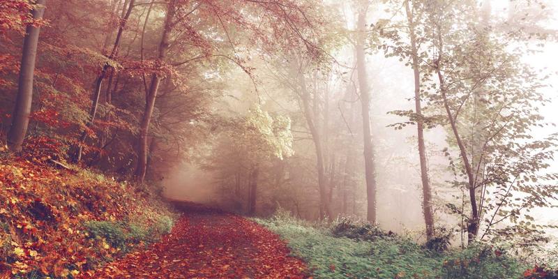 跨境电商合规化运营全攻略：破解产品认证、标签要求与全球市场监管困局