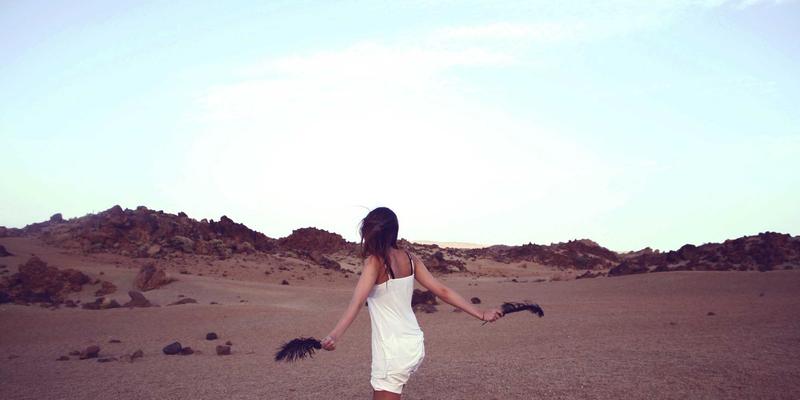 跨境电商支付网关选择与风险防范：应对拒付、欺诈与汇率波动的实战指南