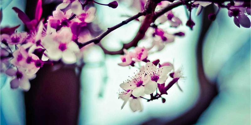 跨境电商支付解决方案：整合本地支付方式如何显著降低购物车弃单率