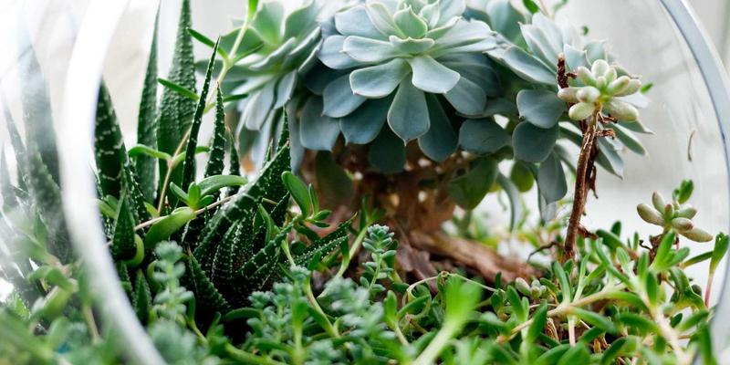 跨境电子商务新趋势：重塑全球贸易格局与物流未来