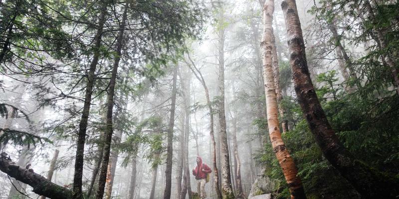 跨境电子商务的全球物流与供应链变革:HKYSK模式如何重塑行业格局