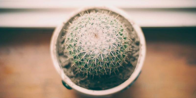 跨境电子商务的全球物流与贸易服务:驱动国际贸易新格局